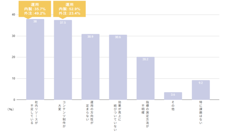 SNS運用の課題点_グラフ